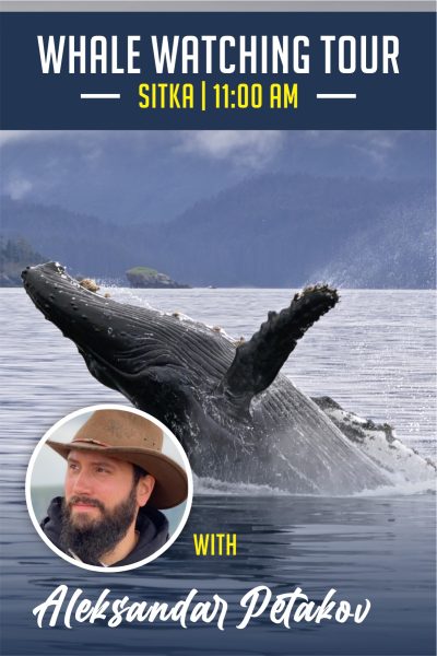 Whale Watching with Aleksandar Petakov<br>Sitka | 09-17